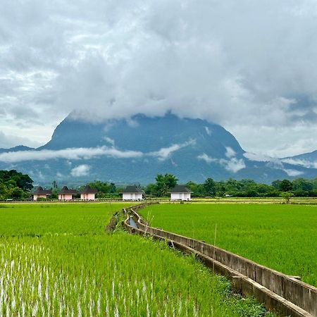 Baan Porhdoi Goidao Villa Chiang Dao Exteriör bild