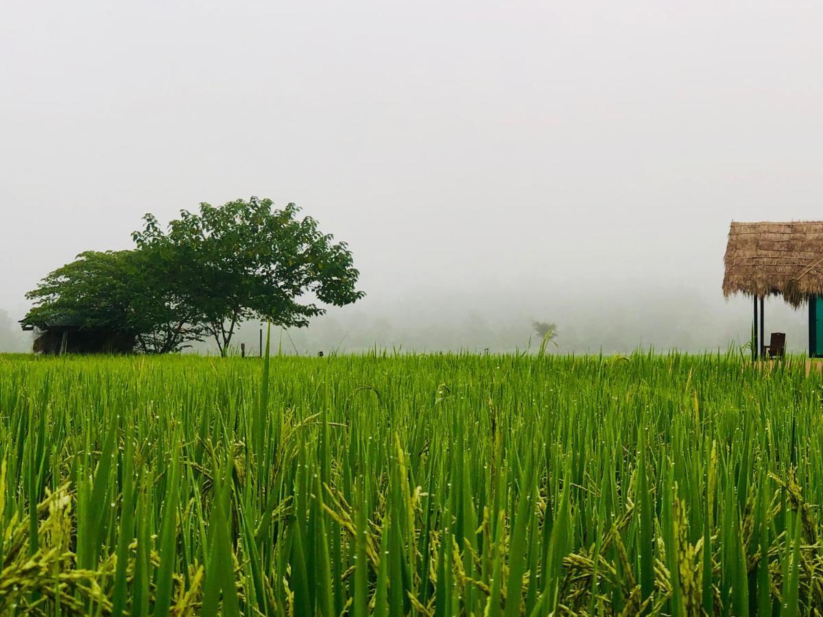 Baan Porhdoi Goidao Villa Chiang Dao Exteriör bild