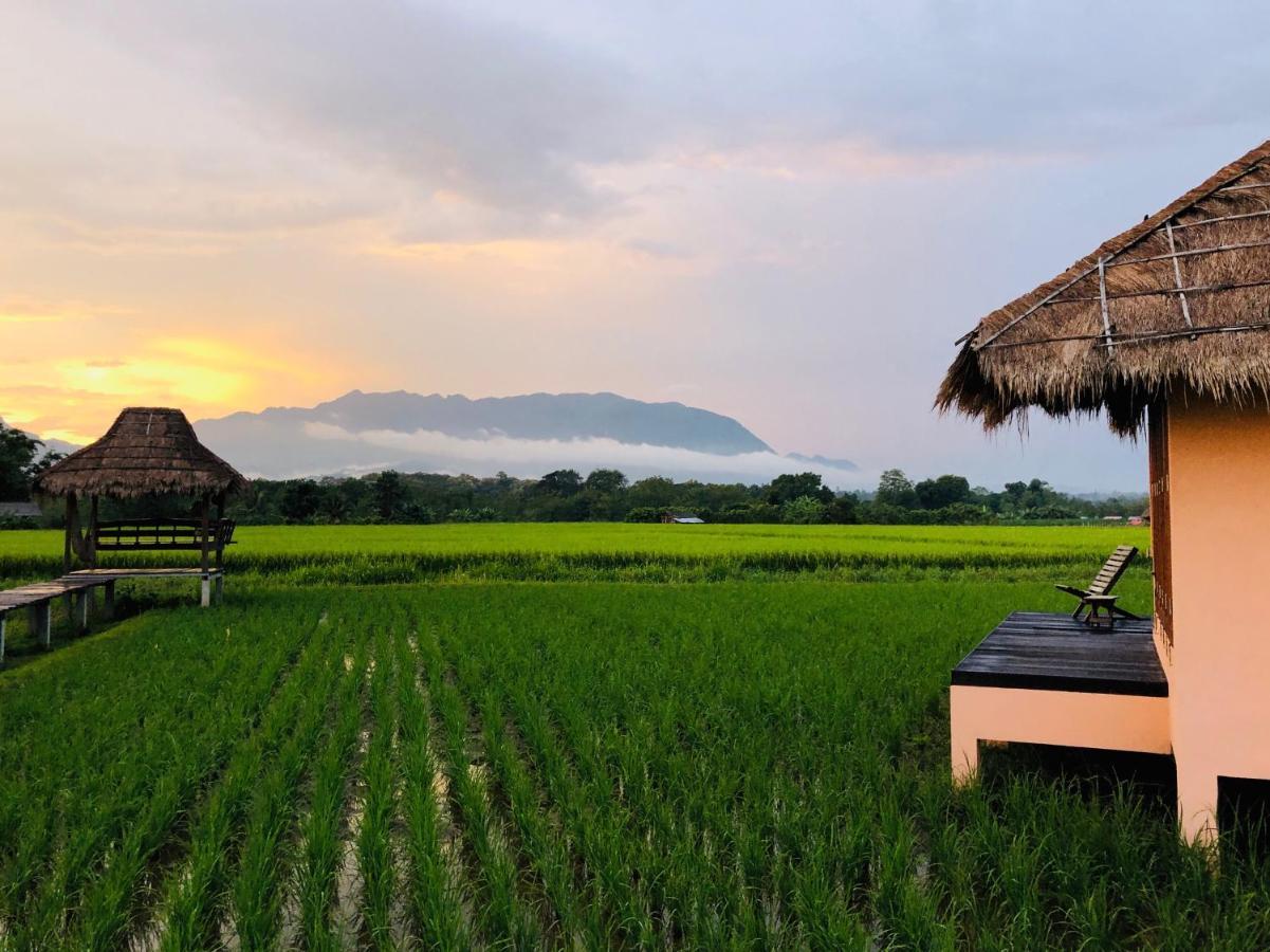 Baan Porhdoi Goidao Villa Chiang Dao Exteriör bild