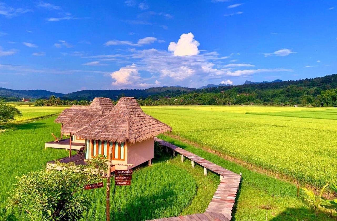 Baan Porhdoi Goidao Villa Chiang Dao Exteriör bild