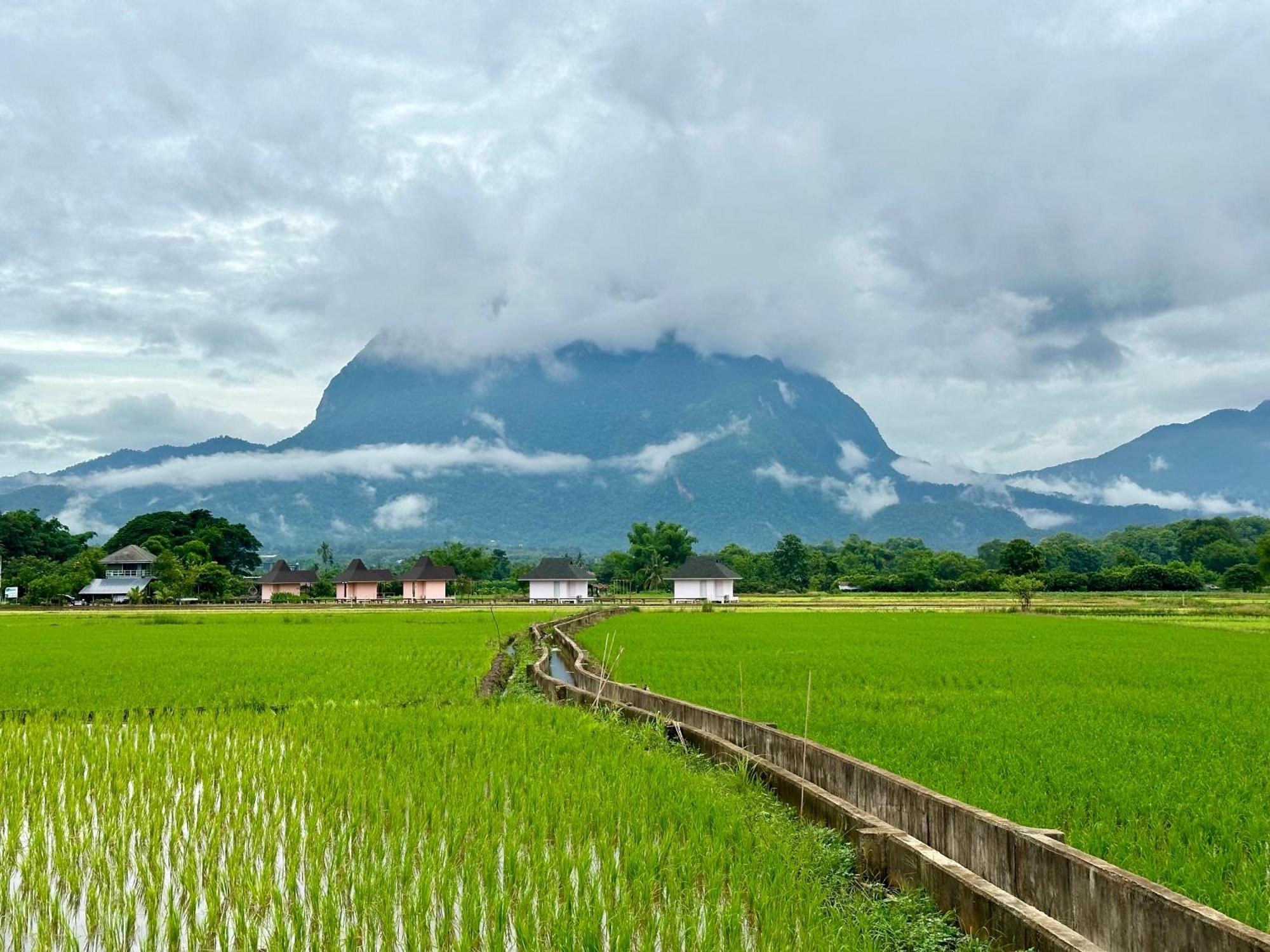 Baan Porhdoi Goidao Villa Chiang Dao Exteriör bild